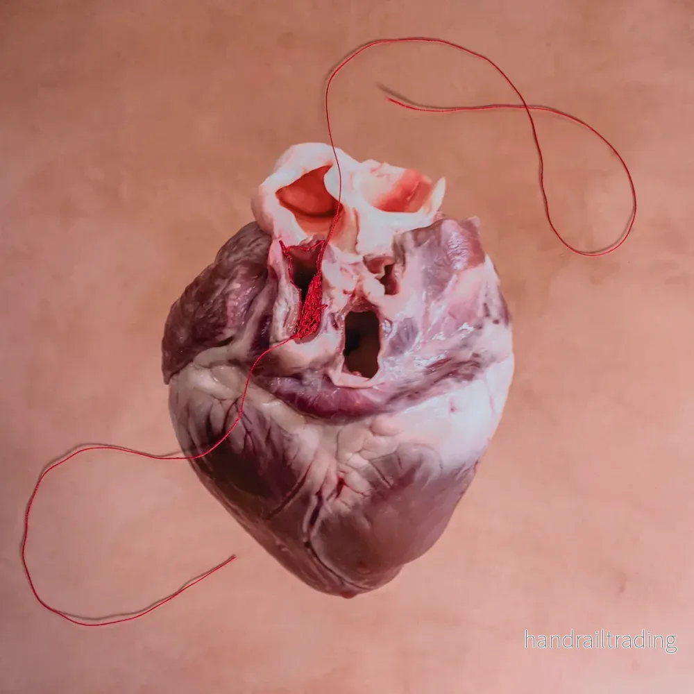 Jessica Lindgren Wu – Heart string, art photo Jessica Lindgren Wu – Heart string, art photo