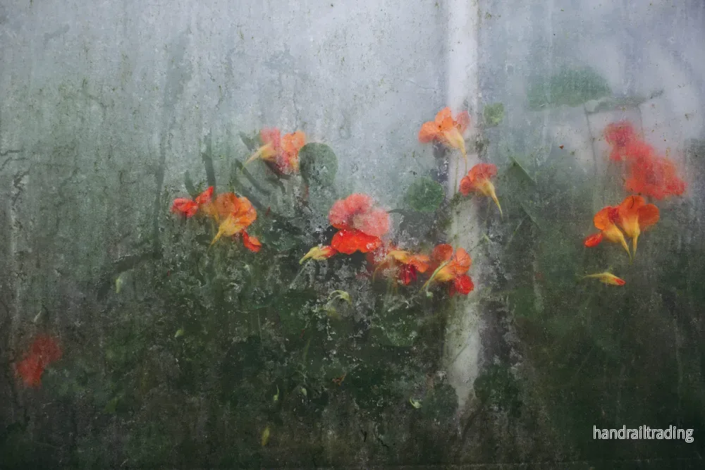 Jessica Lindgren Wu – Nasturtiums, art photo, fine art print Jessica Lindgren Wu – Nasturtiums, art photo, fine art print