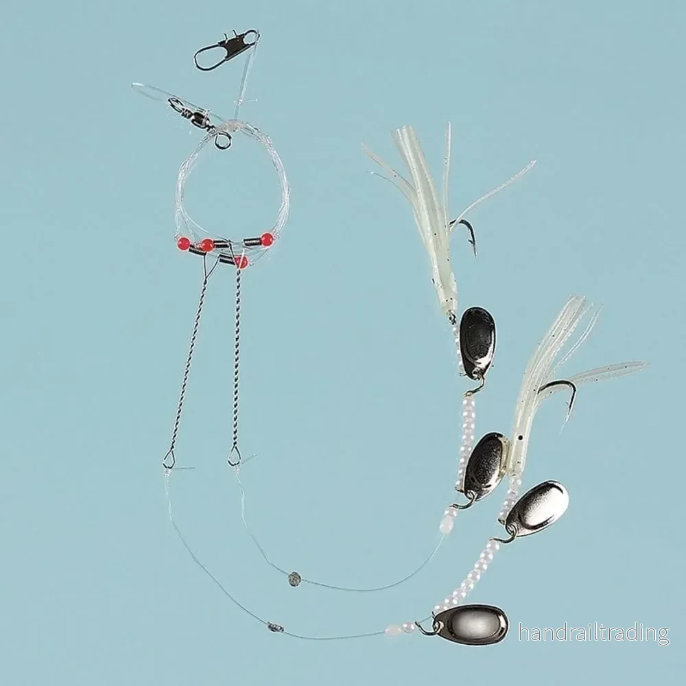 Octopus paternoster Octopus paternoster