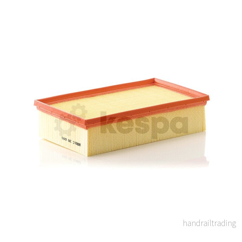 Luftfilterelement C30005