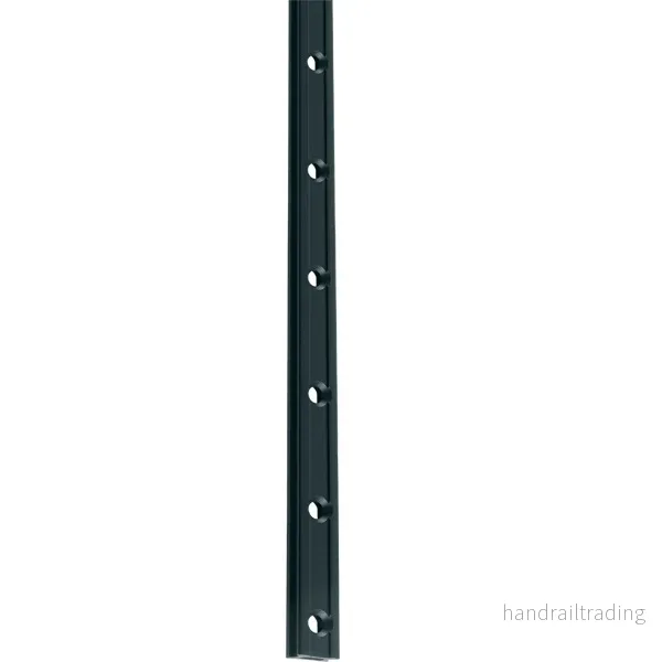 Ronstan Serie 19 mastskena 3 m